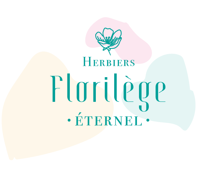 Florilège Eternel Herbier Florilège Eternel Herbier