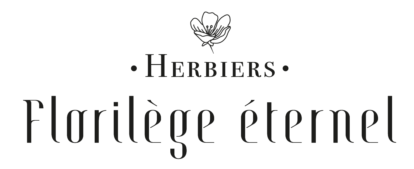 Florilège Eternel Herbier logo_florilege-eternel_Herbier