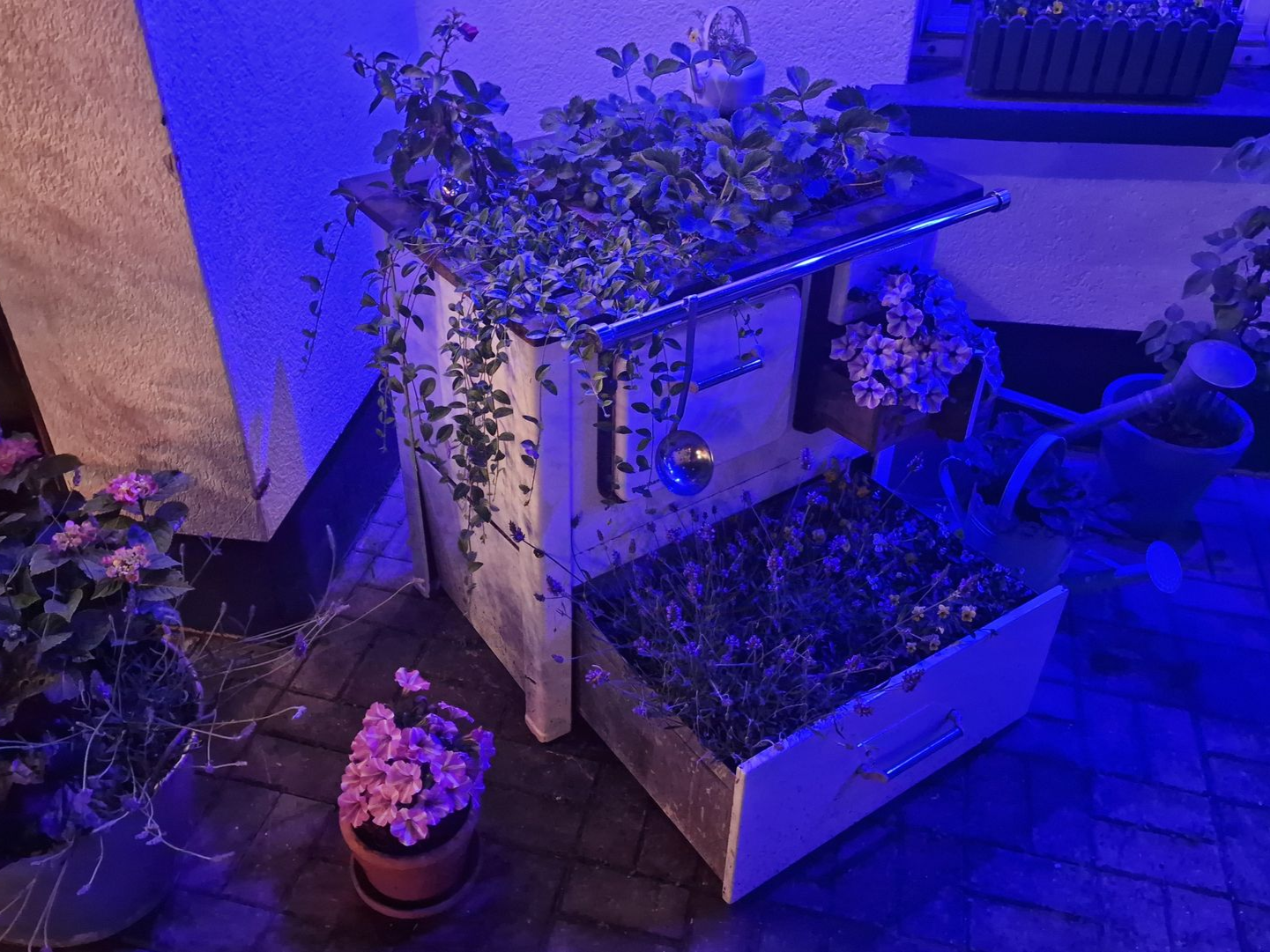 Sommerfest im Biergarten MayrHaus Thüringen