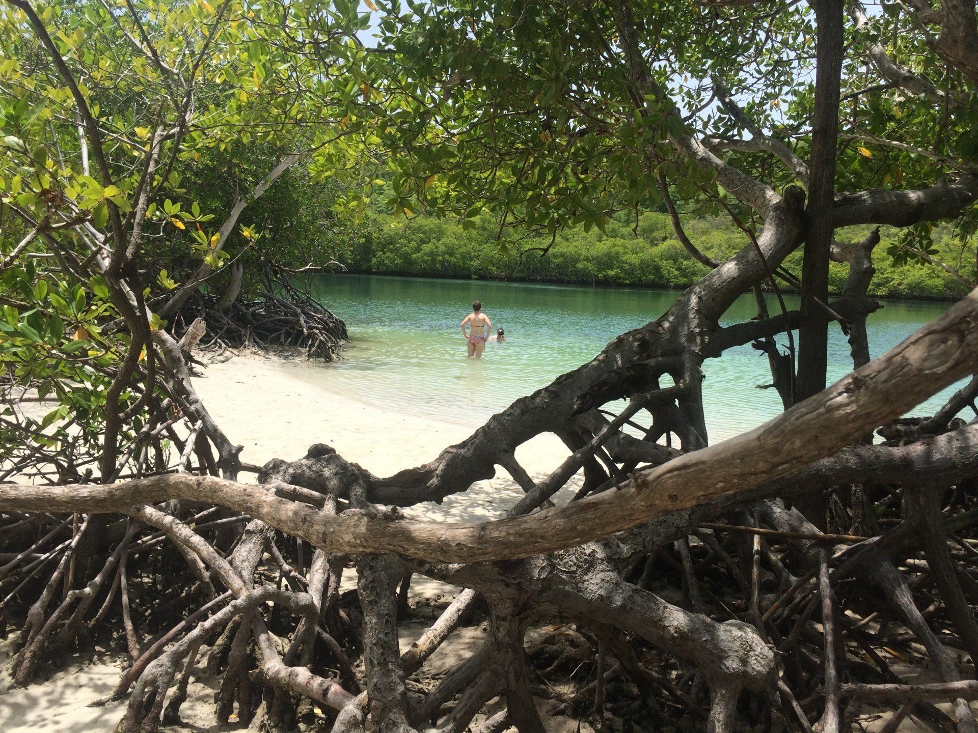 Small sandy beach in Martinique, accessible during a boat trip near the white sands.
