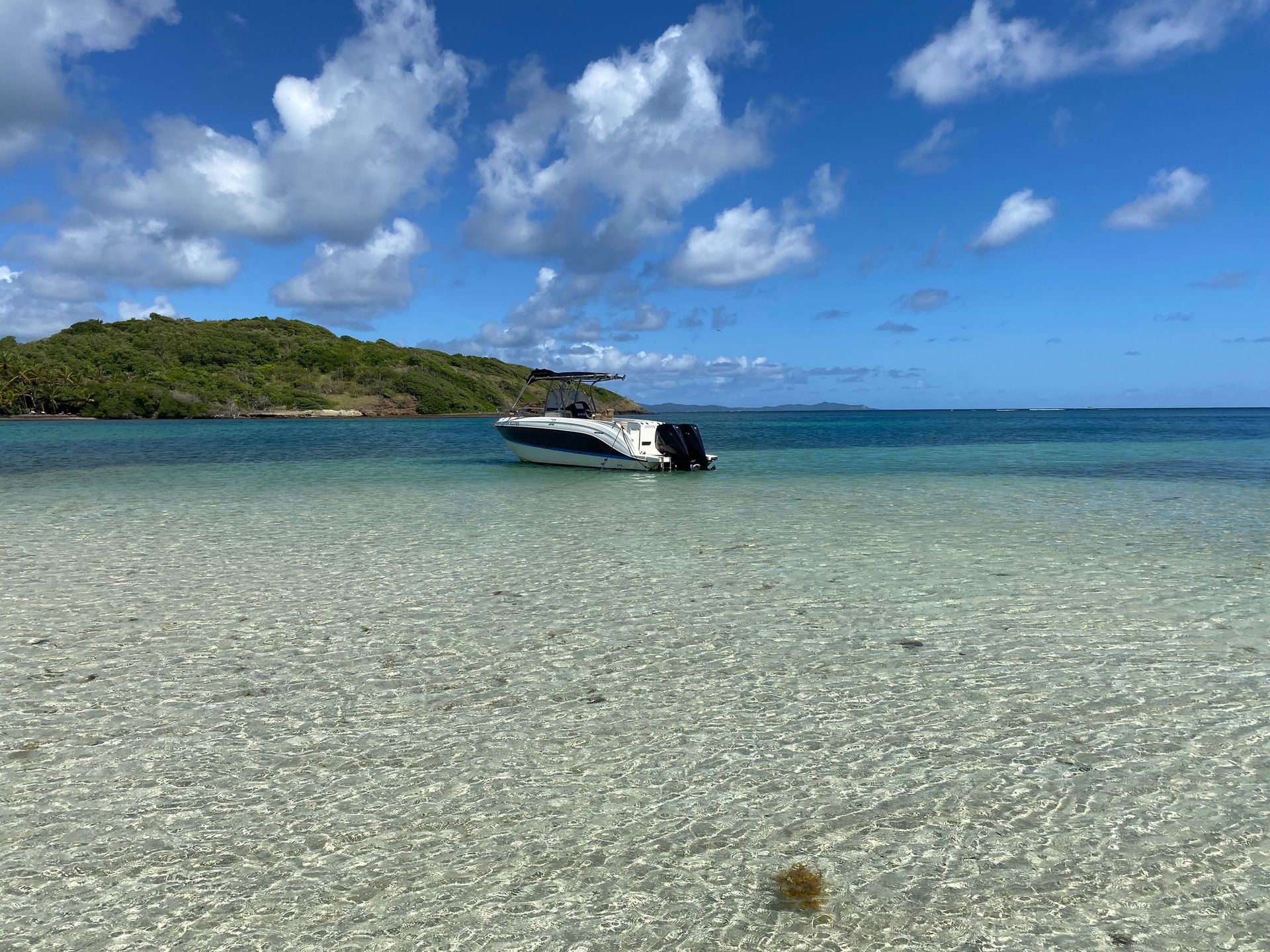 Fond blanc avec sable clair et herbiers marins dans le lagon atlantique de Martinique