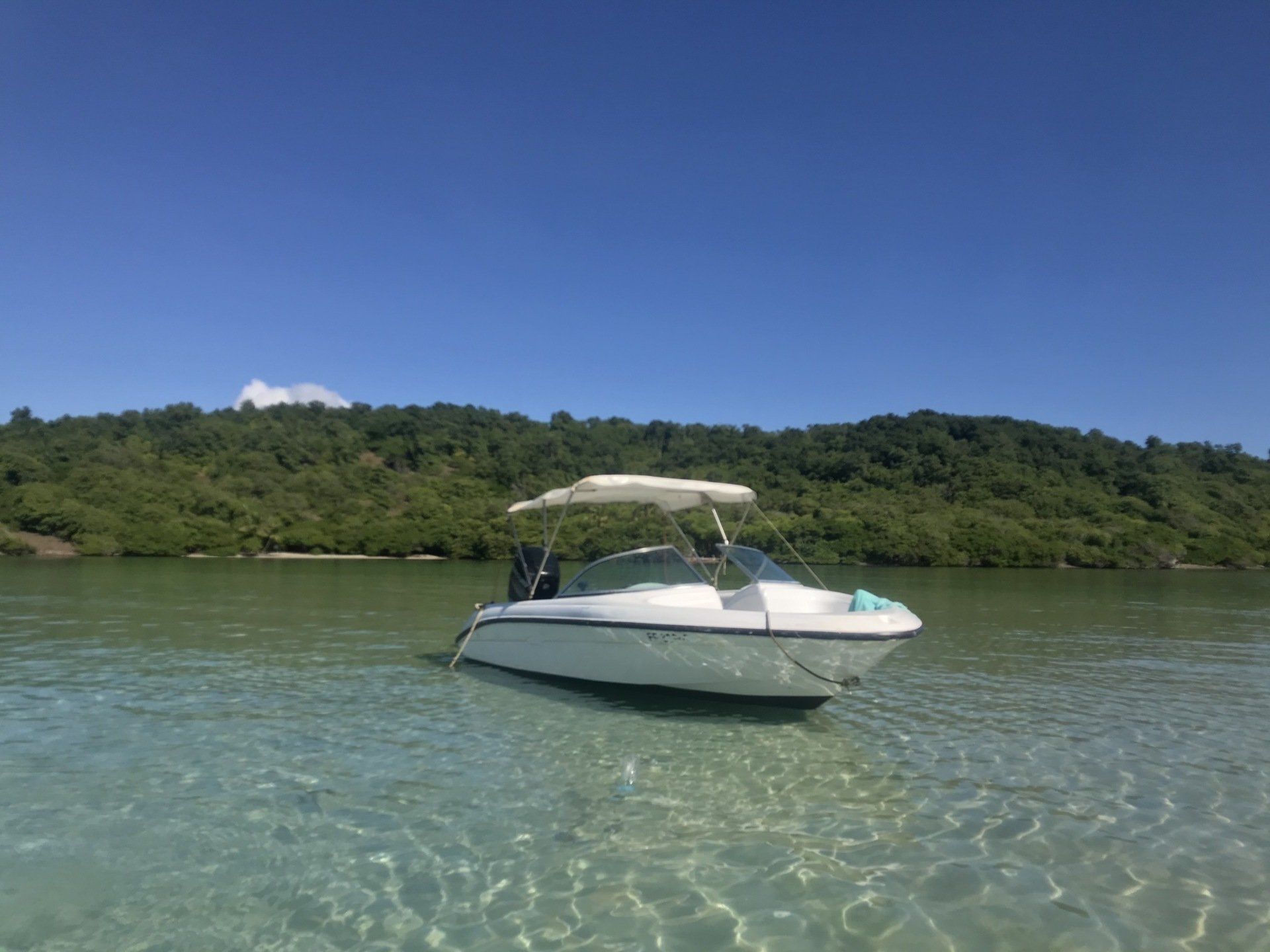 Bateau à l’arrêt en Martinique lors d’une balade en bateau, dans un environnement calme et naturel.