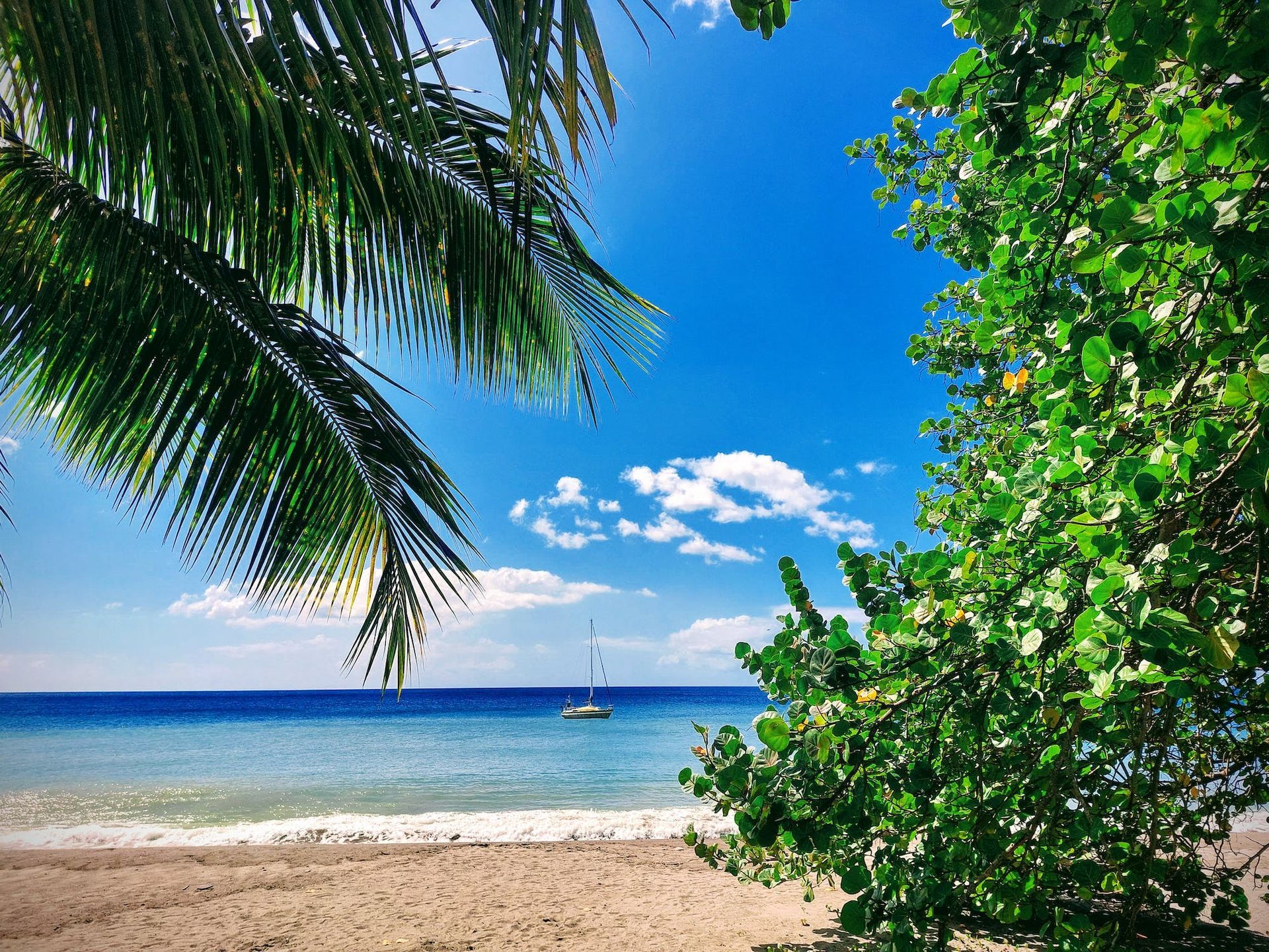 Paysage tropical en Martinique observé lors d’une balade en bateau vers les fonds blancs et la baignoire de Joséphine.