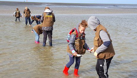 schule-garding.de/ausgezeichnete-schule