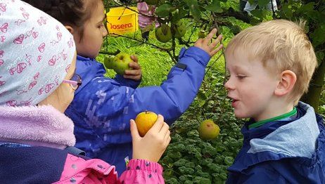 schule-garding.de/projekte-und-aktionen