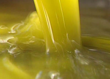 aceitunas