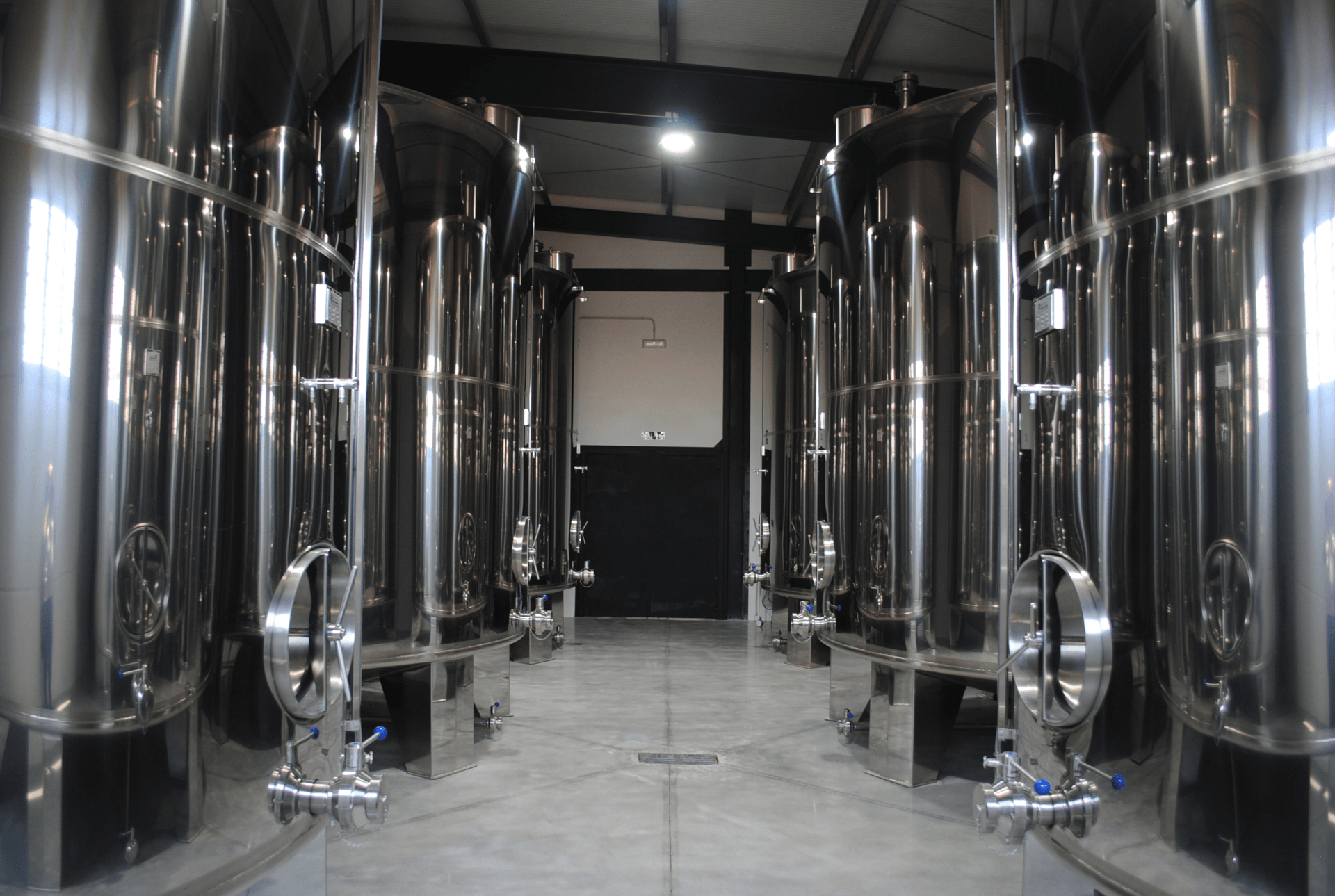 bodega de aceite de oliva
