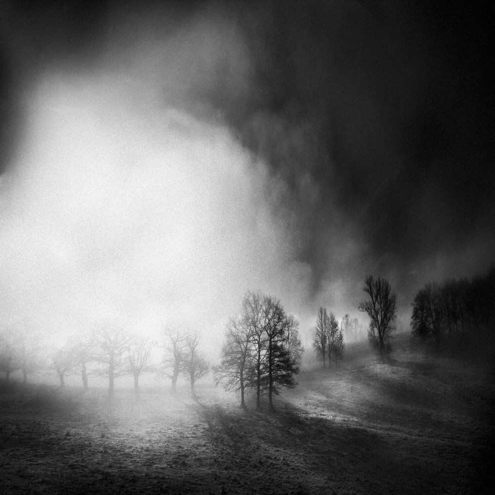 Tirage photo noir et blanc - Fine art