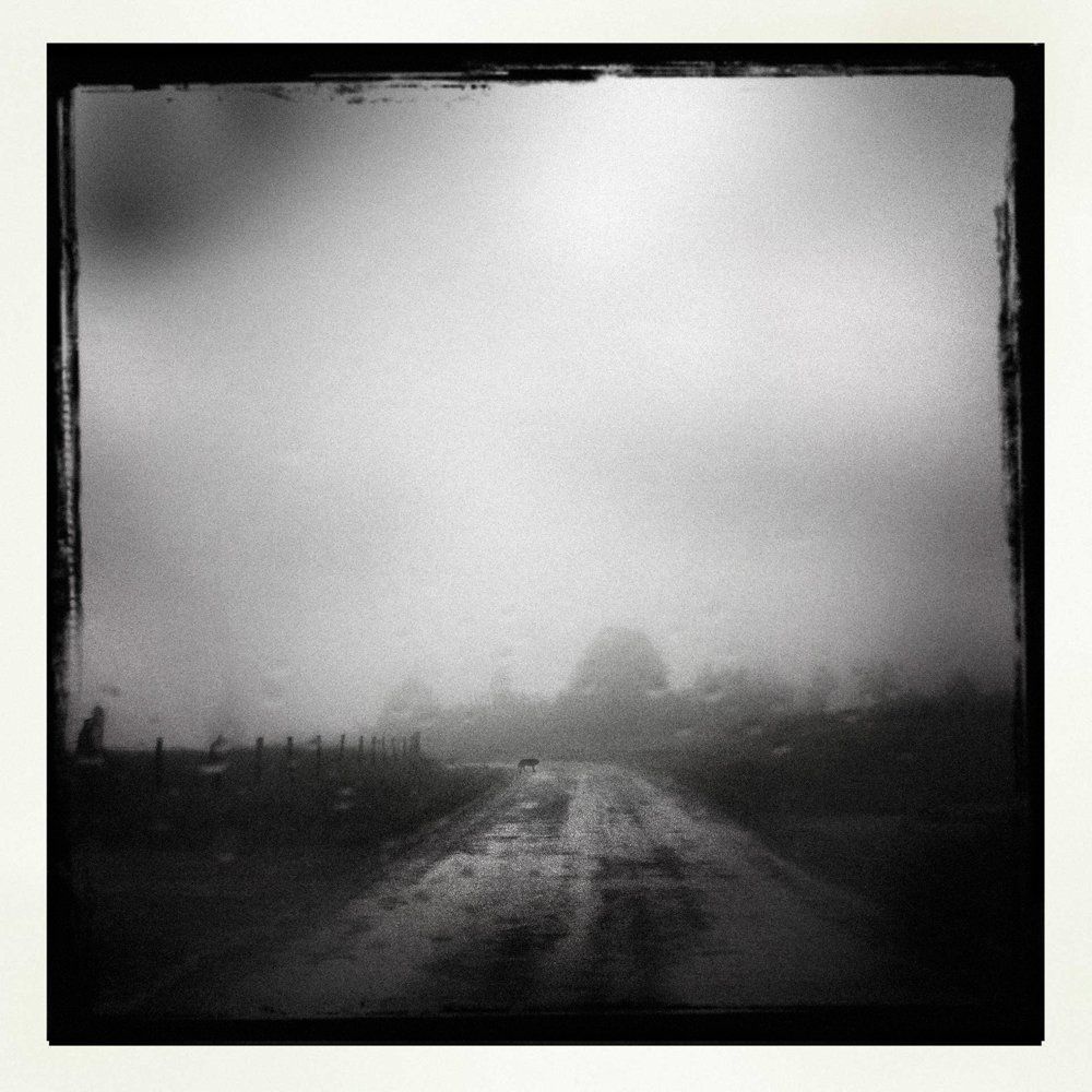 Brave new world : série de vues urbaines prises à travers des vitre de bus traversant la ville, poteaux, antennes, fils électriques, pylônes, lampadaires, animés par la métamorphose optique