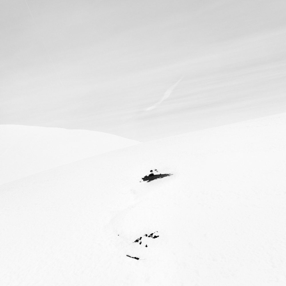 There is human beings - Il y a toujours des êtres humains : série de photographies noir et blanc épurées de paysage de montagne sous une neige blanche et pure, avec quelques traces de végétation ou de terre