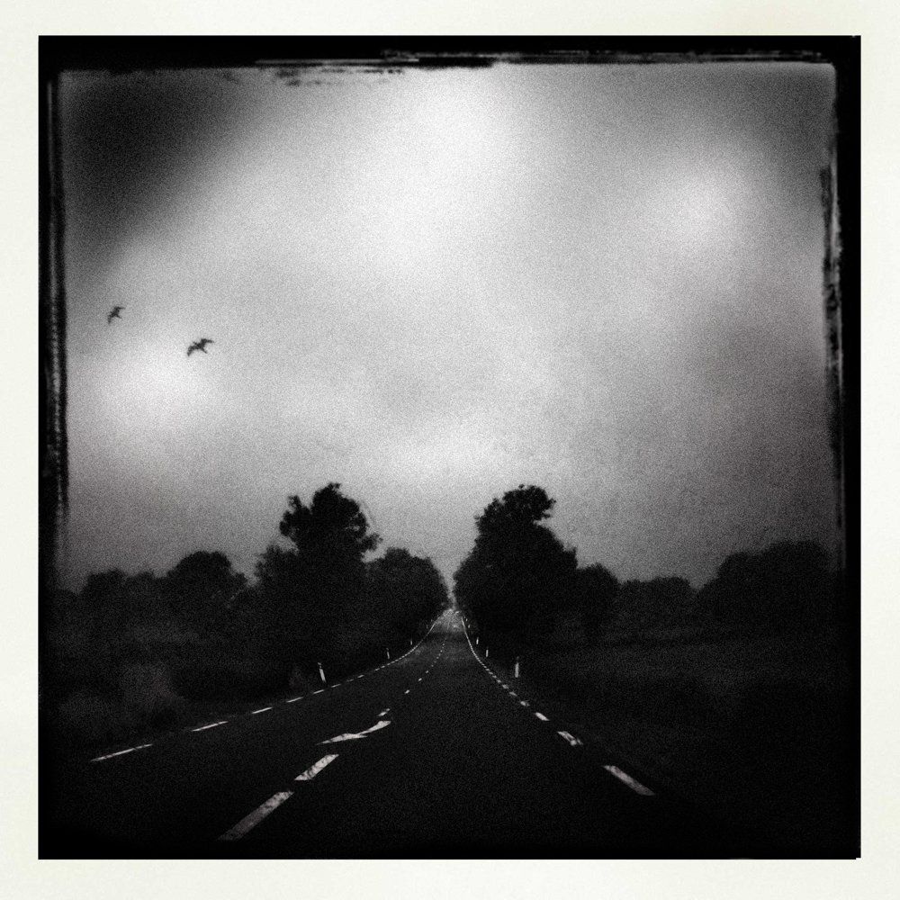 Brave new world : série de vues urbaines prises à travers des vitre de bus traversant la ville, poteaux, antennes, fils électriques, pylônes, lampadaires, animés par la métamorphose optique