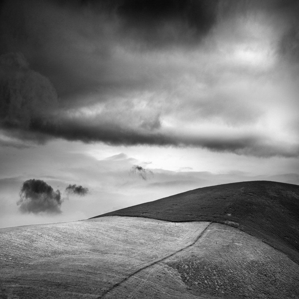Des paysages des figures : série de paysages carrés et géométriques  de champs marqués par la main et le dessin de l'homme : arbres, cultures, bosquets, chemins