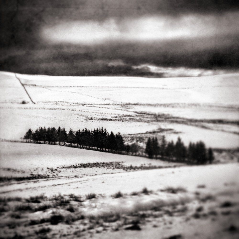 Cold melancholia ) Froide mélancolie : série de paysages hivernaux, avec des routes plus ou moins enneigés et glacées, frimas sur des routes de campagnes, arbres, bords vallonnés