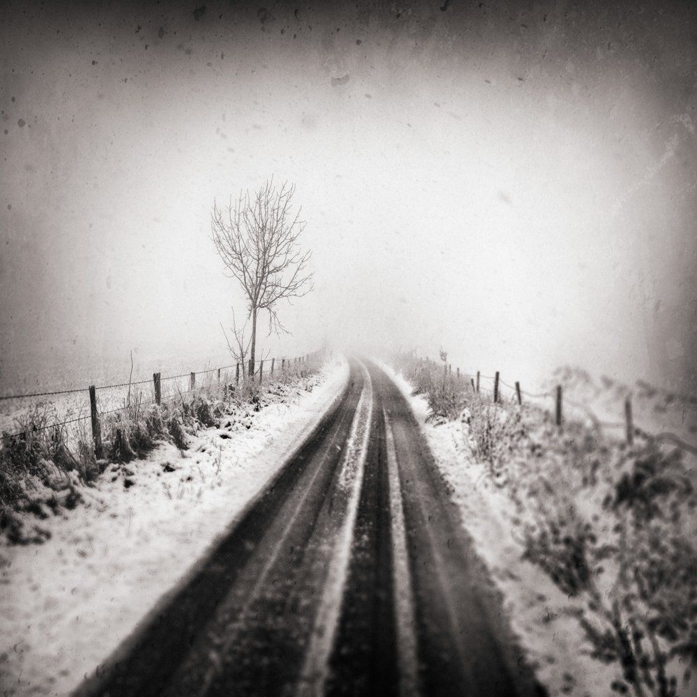 Photographie noir et blanc de paysage : arbres, neige, brouillard, route