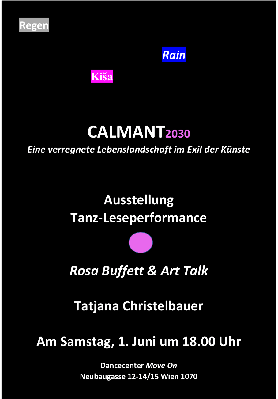 Tatjana Christelbauer , fine arts, art installations. Art Sociology, Book presentation