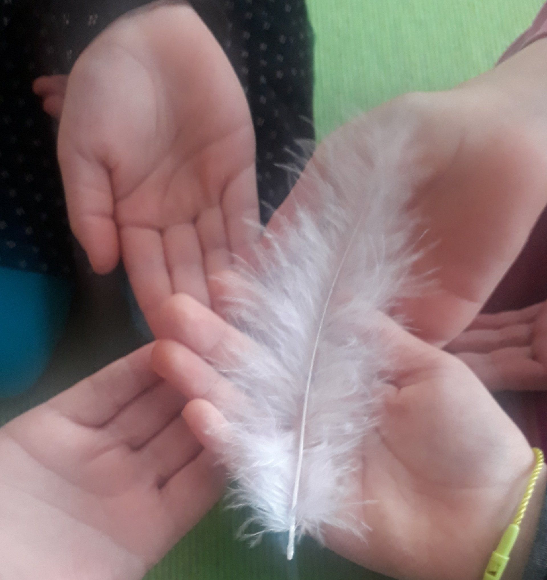 Attentive relations, Children Workshop, Feather greet, Zusammenhalten, Tatjana Christelbauer IkuBi Attentive relations, Children Workshop, Feather greet, Zusammenhalten, Tatjana Christelbauer IkuBi