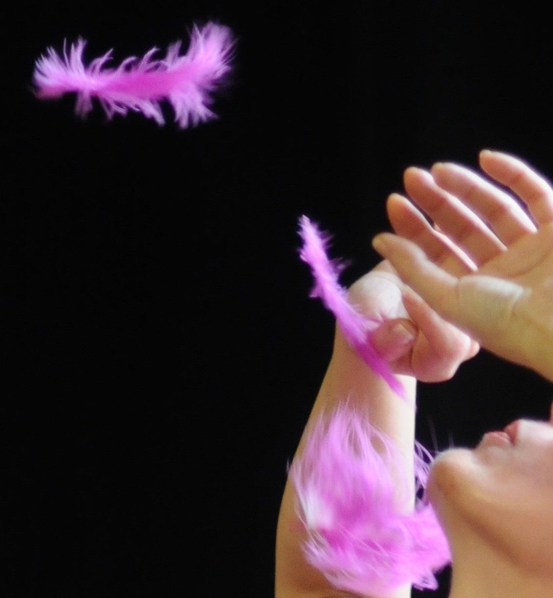 cASLMANT, rosa, tatjana Christelbauer, Perovodjstvo, Federführung, Federship, Marie Laurencin