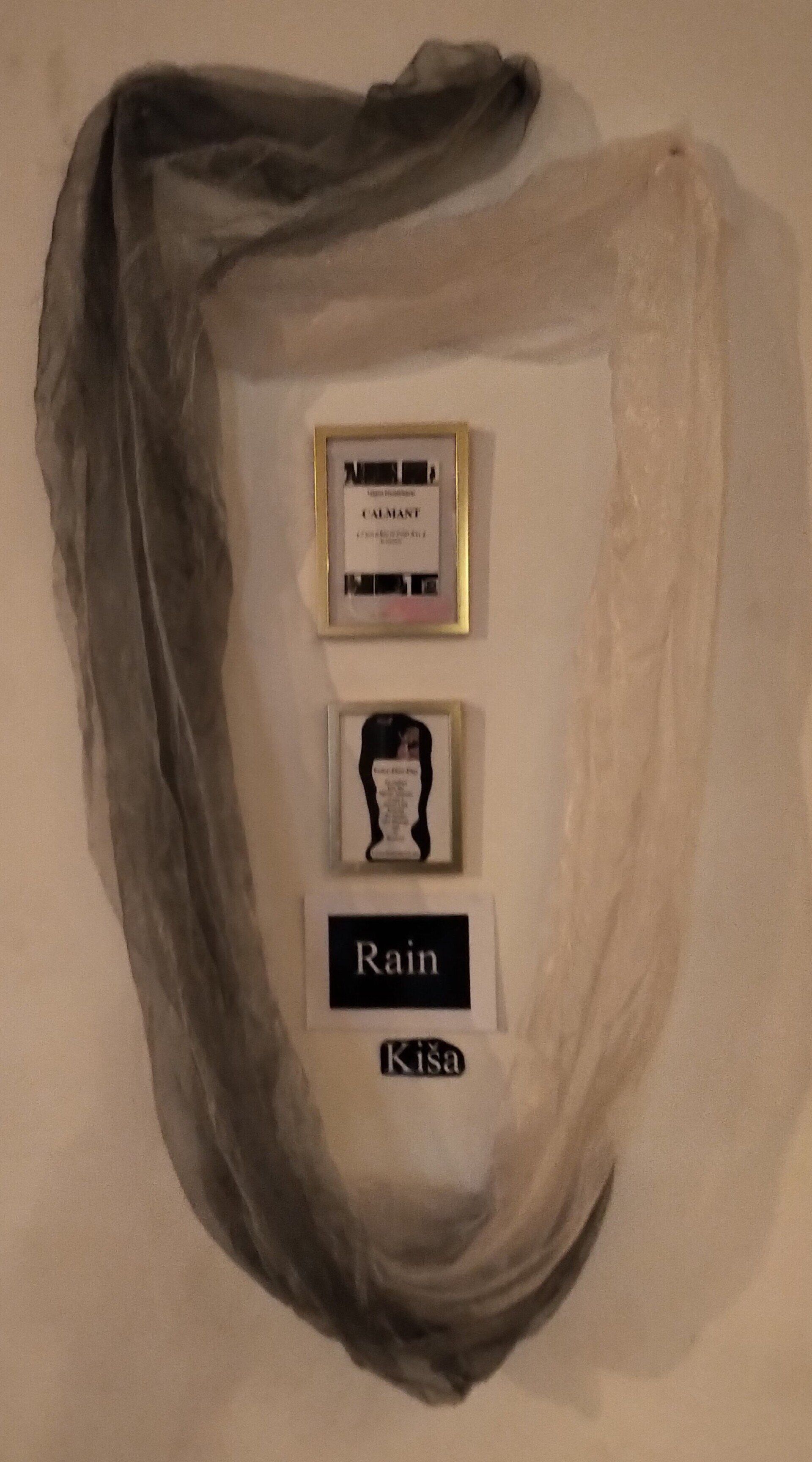 Installation, Calmant, Tatjana Christelbauer, exibiton Marie Laurencin, multimedia works, Vienna