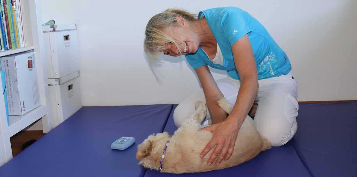 Krankengymnastik hilft Hunden bei diesen Erkrankungen