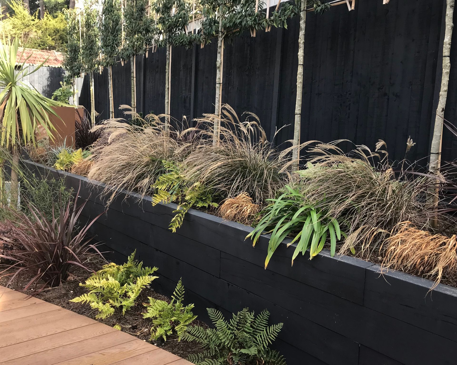 Black limestone raised beds in Lilliput garden