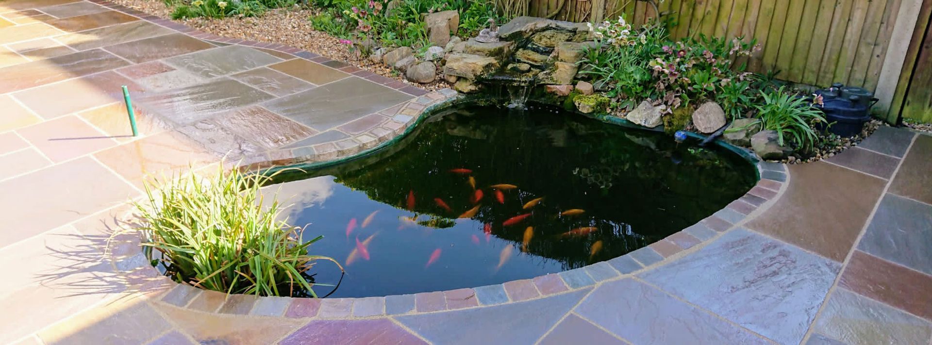 Garden fish pond in Bournemouth garden