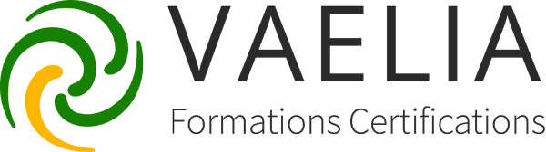 logo vaelia