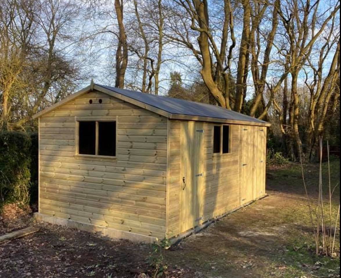 shed near trees