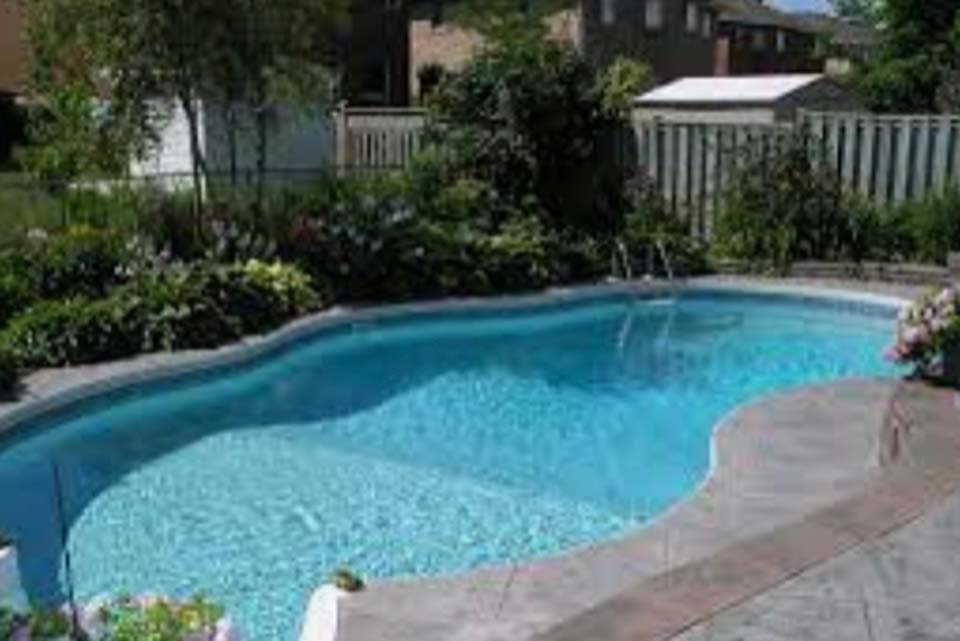 pool with lots of plants