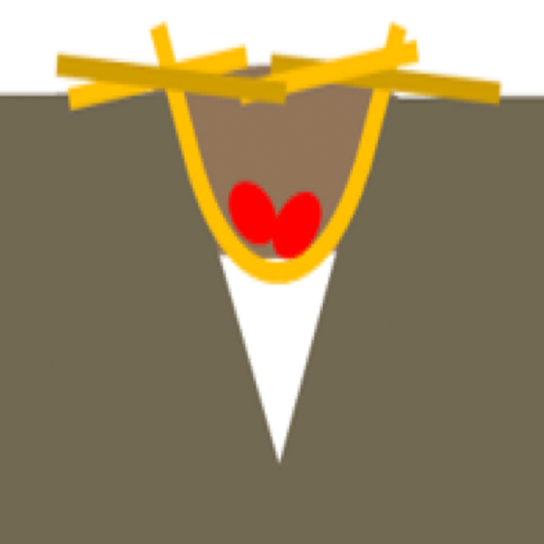 Grafik Hairpinning