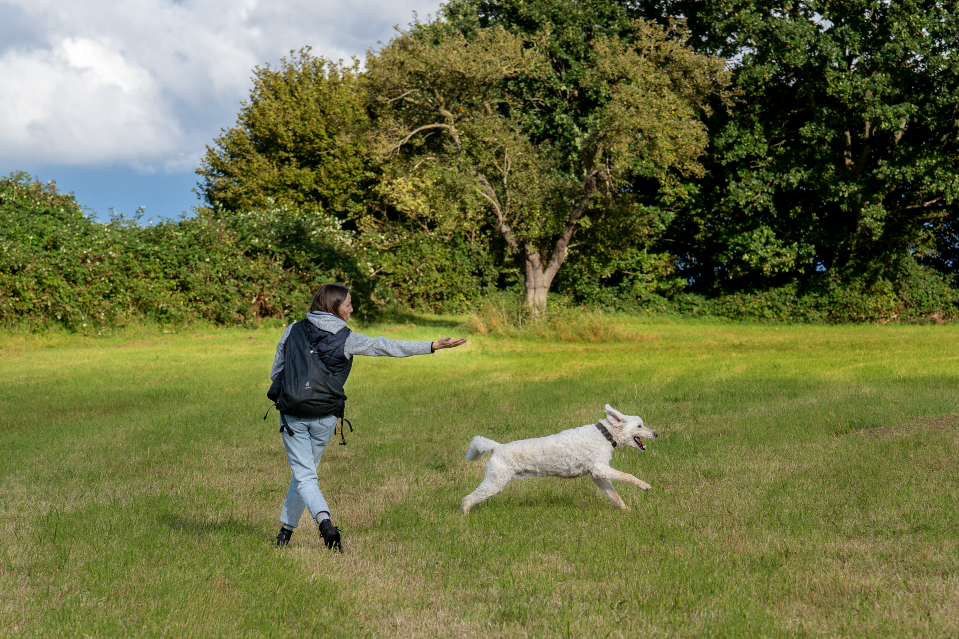 Eine Frau und ein Hund, die gemeinsam eine Fläche absuchen. Die Frau schickt den Hund gerade nach rechts.