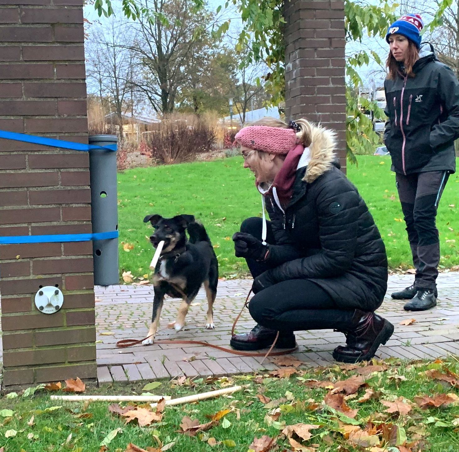 Hund in Gruppenstunde - soziales Lernen