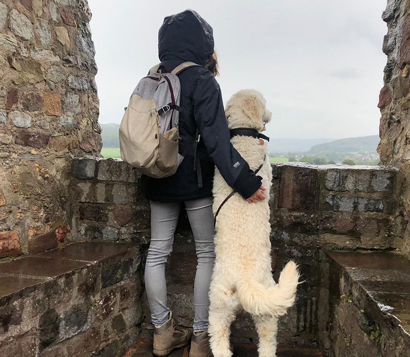 Artgerechte Hundeerziehung