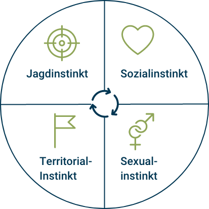 Instinktkreis nach Jan Nijboer