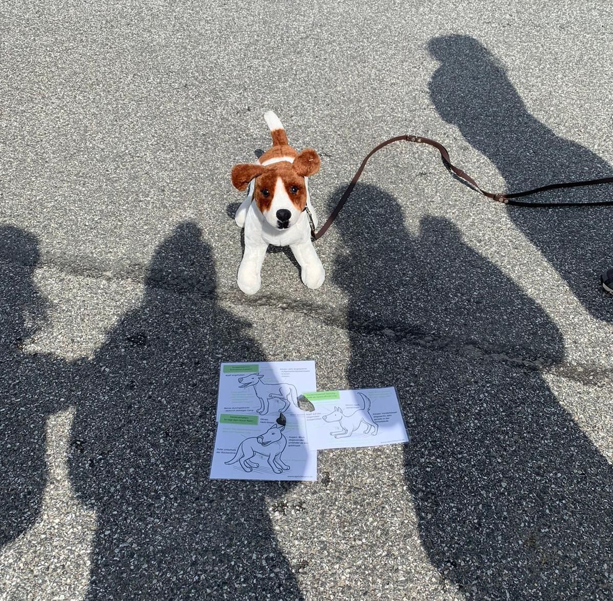 Stoffhund mit Körpersprache-Bildern davor