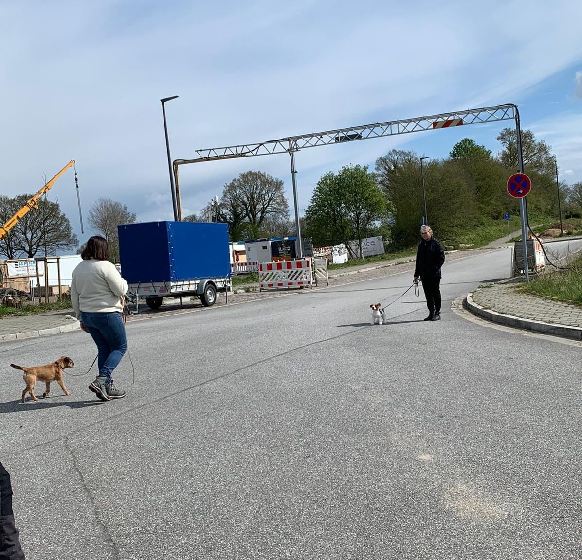 Border Terrier, der mit seinem Menschen auf einen anderen Menschen mit einem Stoffhund an der Leine zugeht
