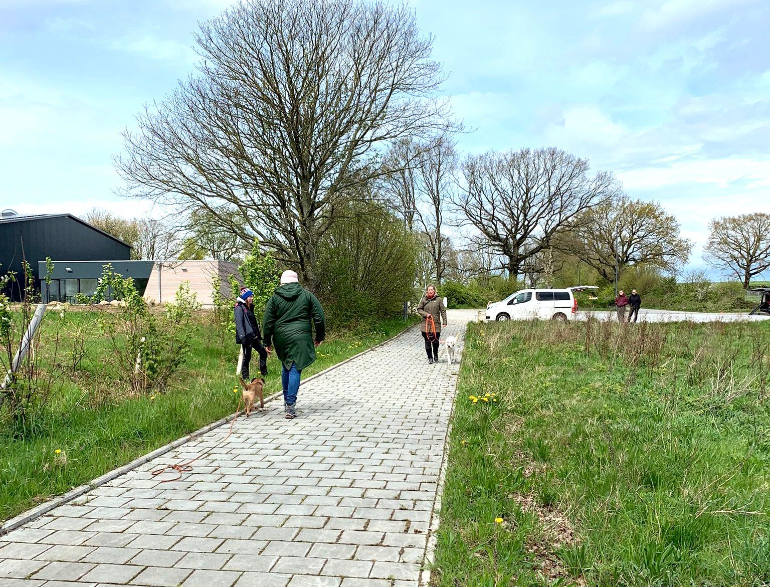 Zwei Menschen mit ihren Hunden begegnen sich an lockerer Leine