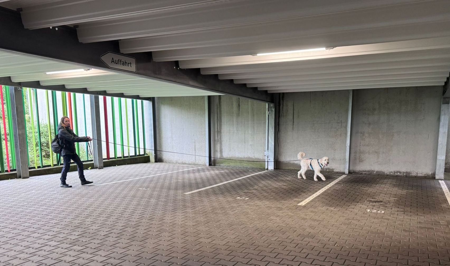 Frau trailt mit Hund in Parkhaus. Der Hund sucht vorne, die Frau behält hinten den Überblick.