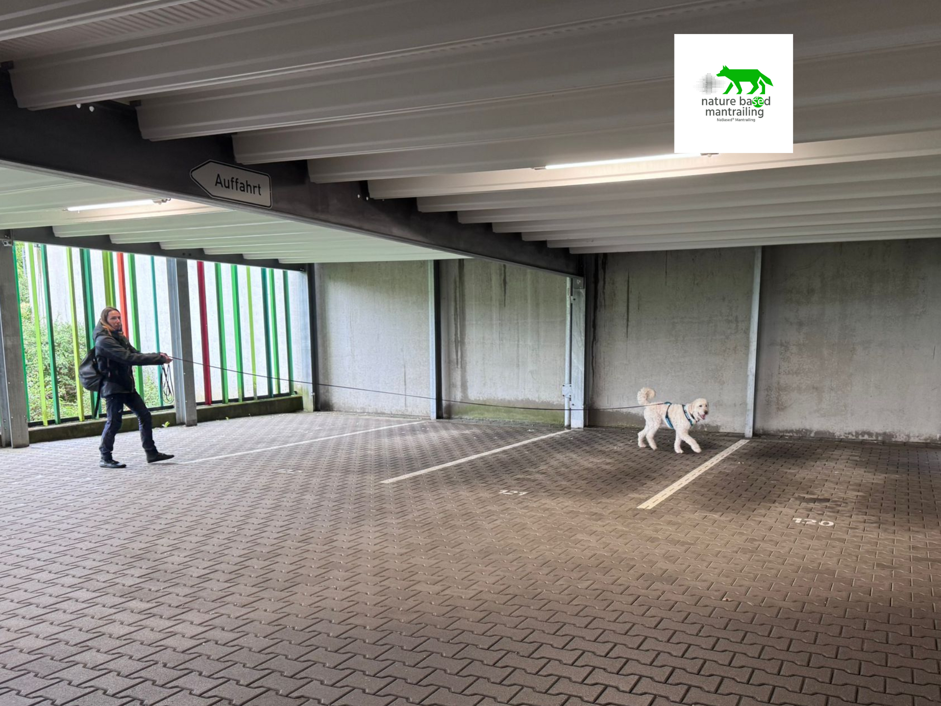 Frau trailt mit Hund in Parkhaus. Der Hund sucht vorne, die Frau behält hinten den Überblick.