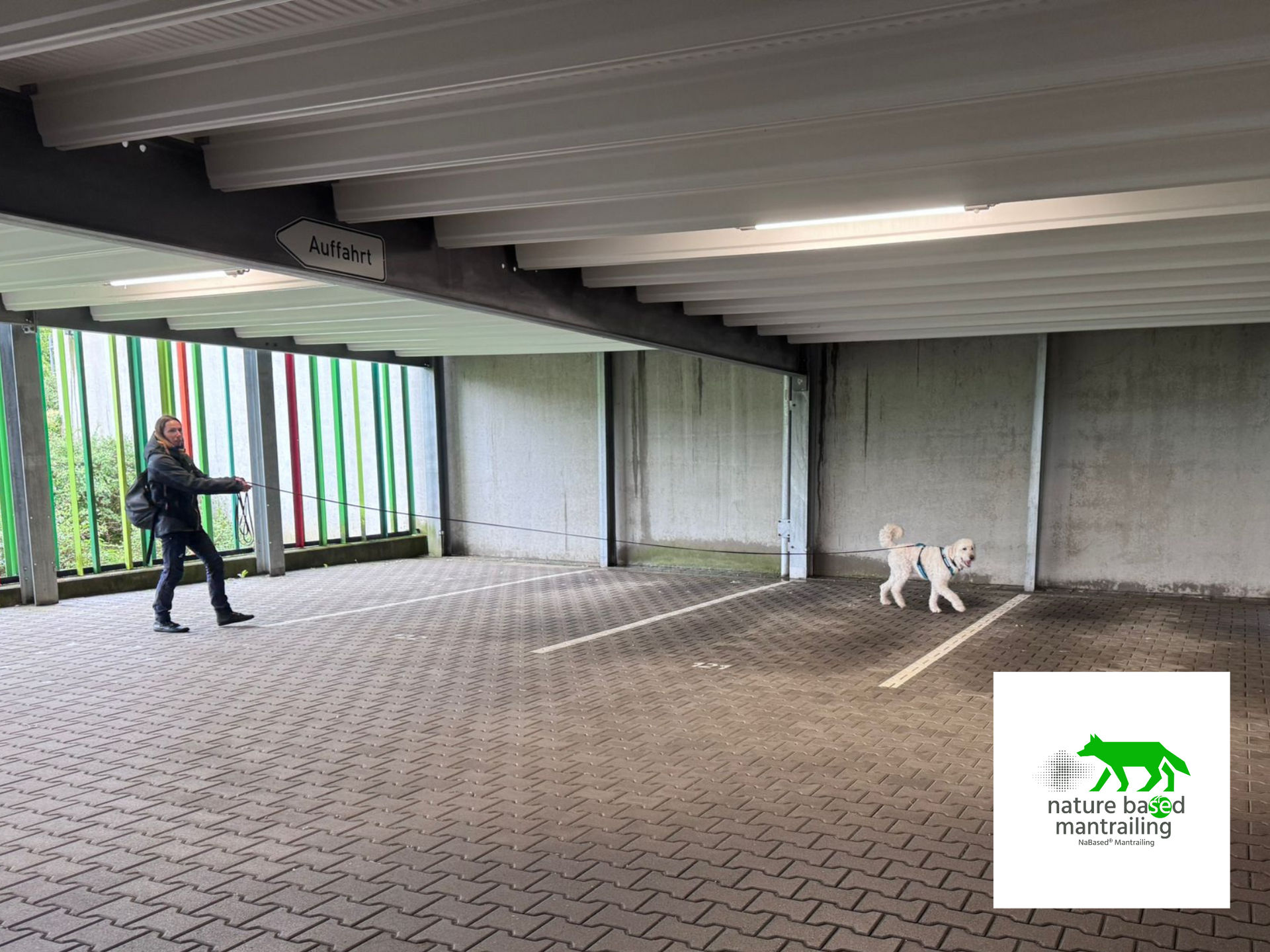 Hund mit Mensch auf Spurensuche in einem Parkhaus