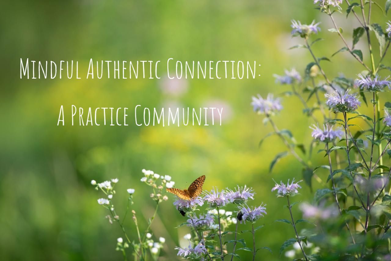 Mindful Self-Compassion Program, Glens Falls, NY