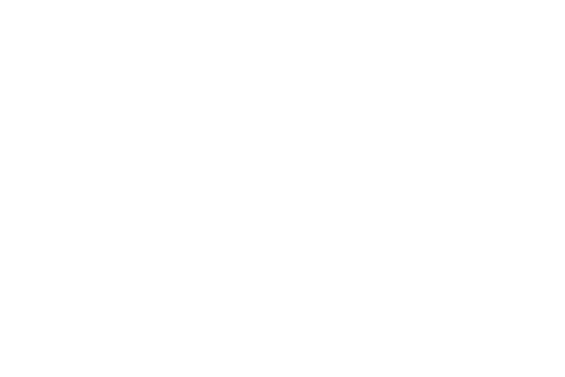 Tanz-Choreografin/Tänzerin, Samba Tänzerin