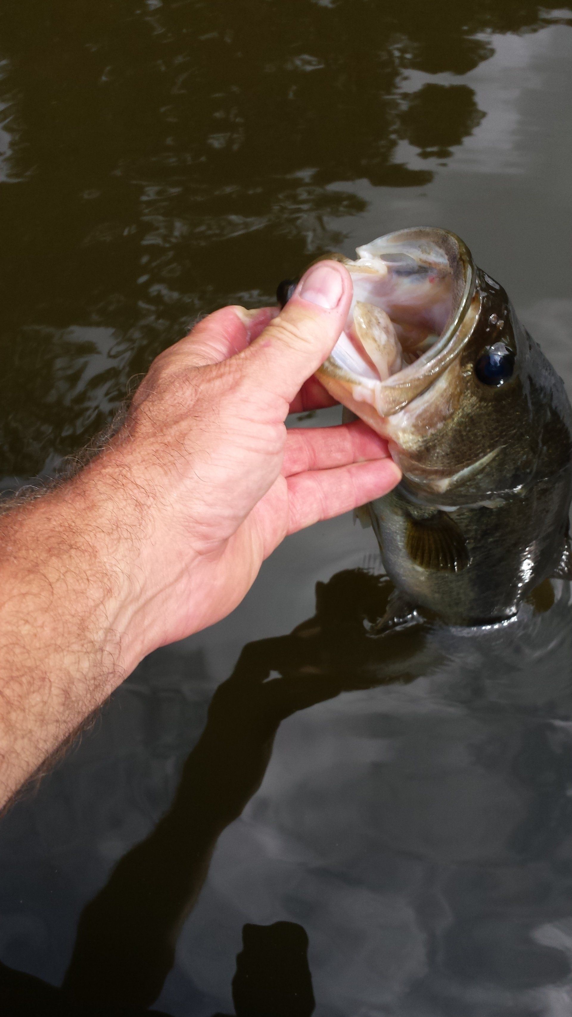 current fishing report