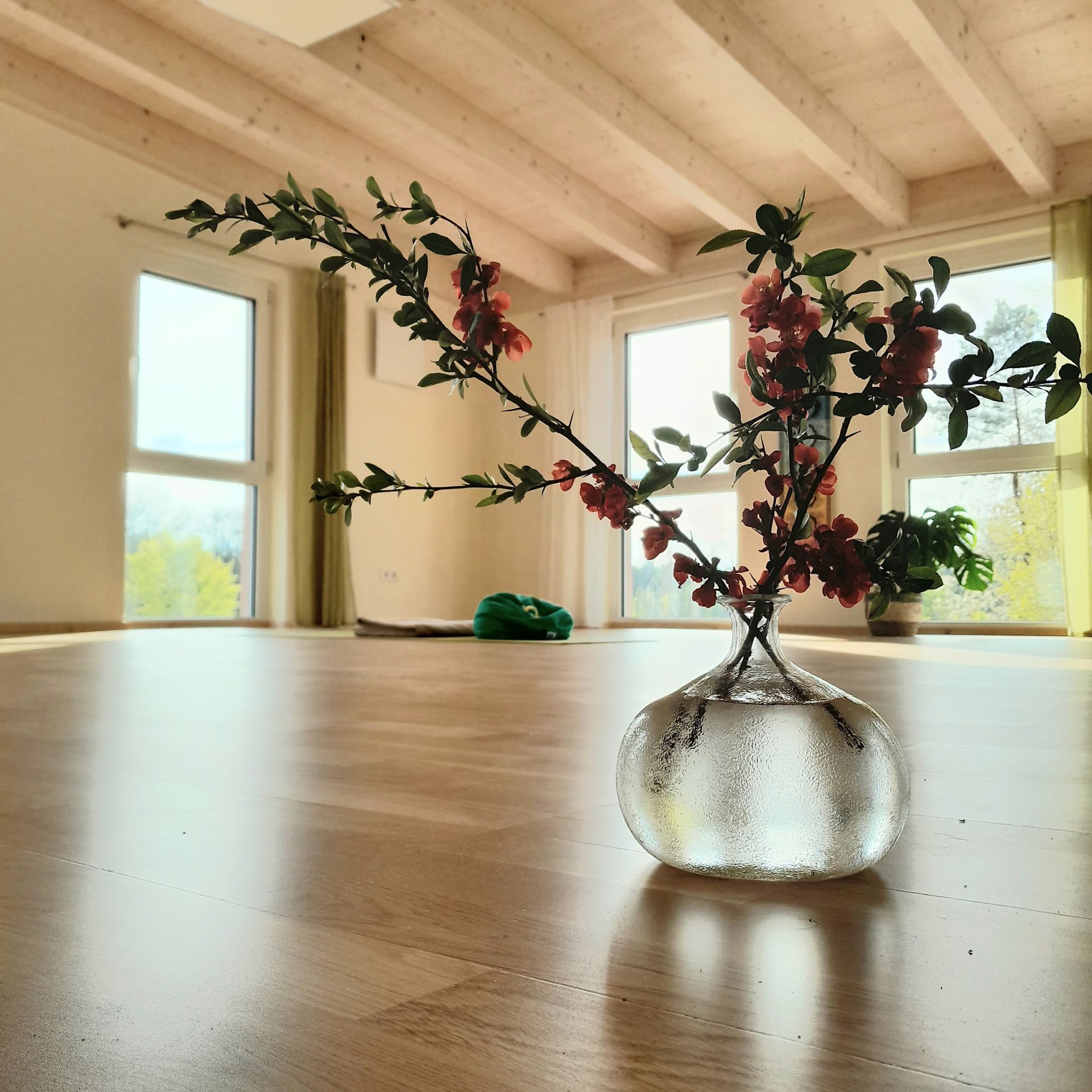 Yogaraum von vital38