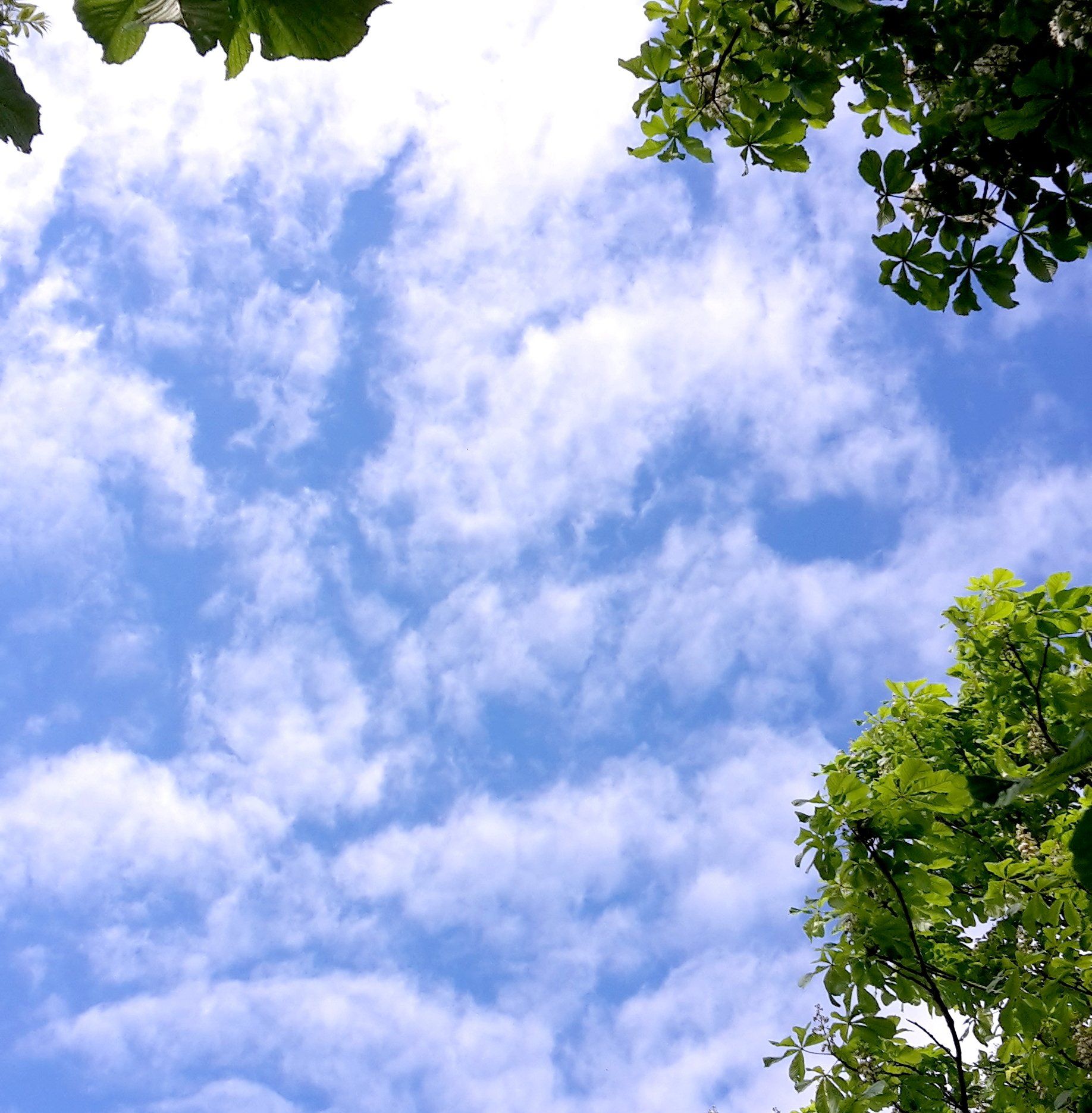 Wolkenbilder Phantasiebilder am Himmel