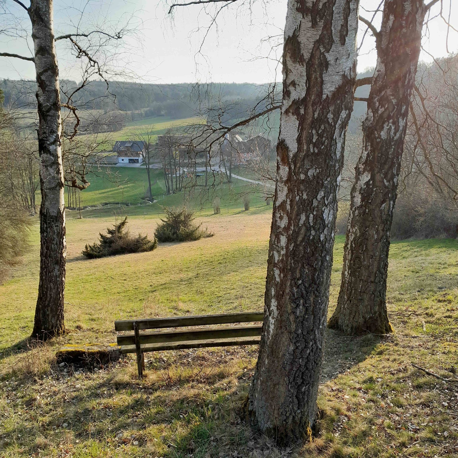Blick zur Walkmühle bei Neudorf