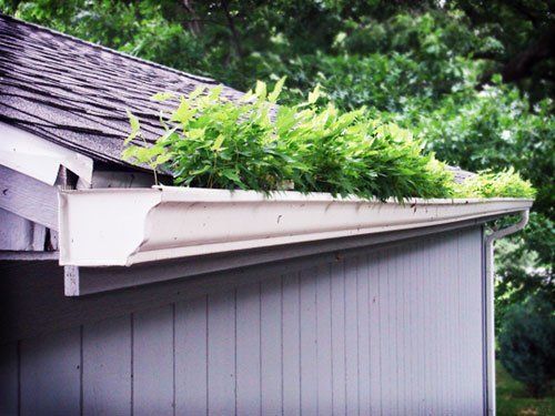 A sign you need to clean your rain gutters