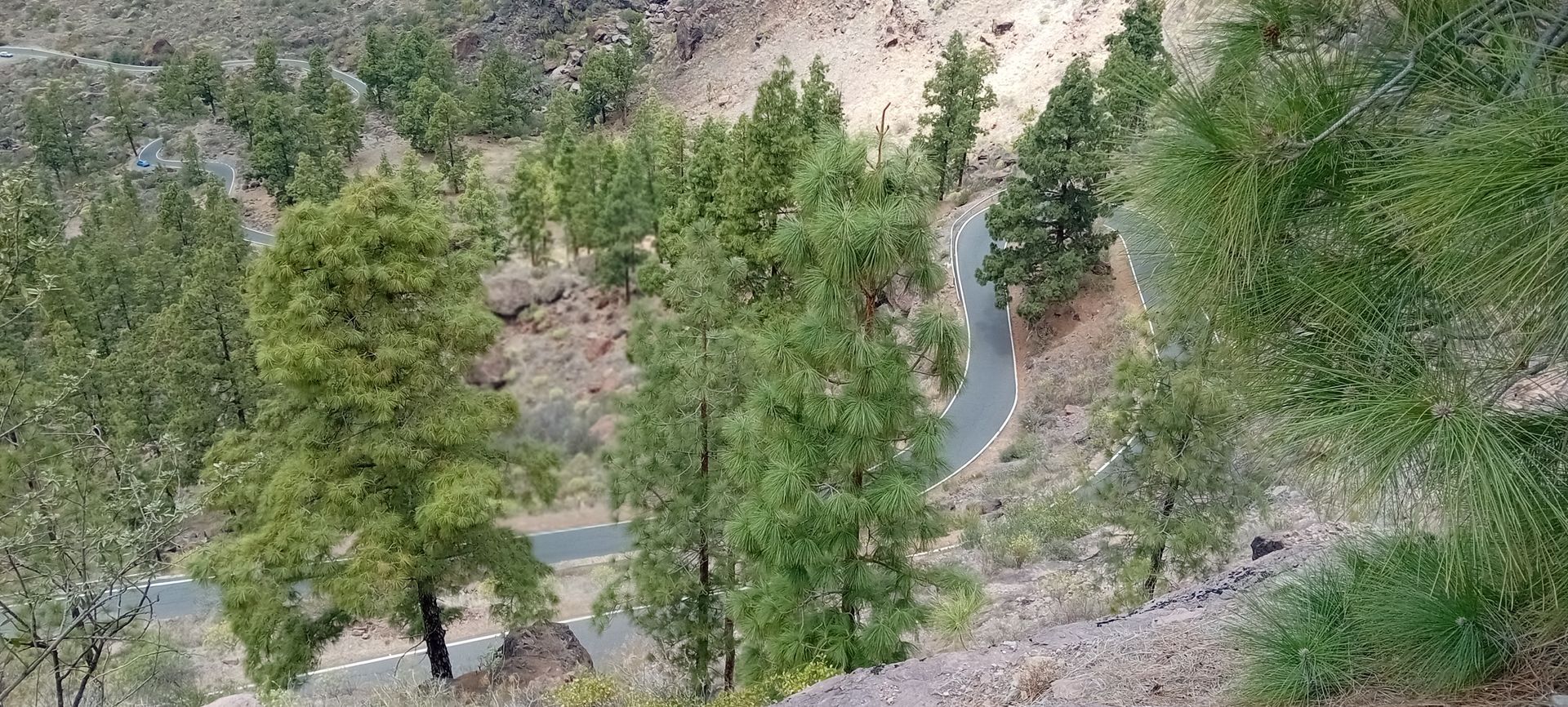 Harley Davidson Urlaub auf Gran Canaria mit Biker-Tours