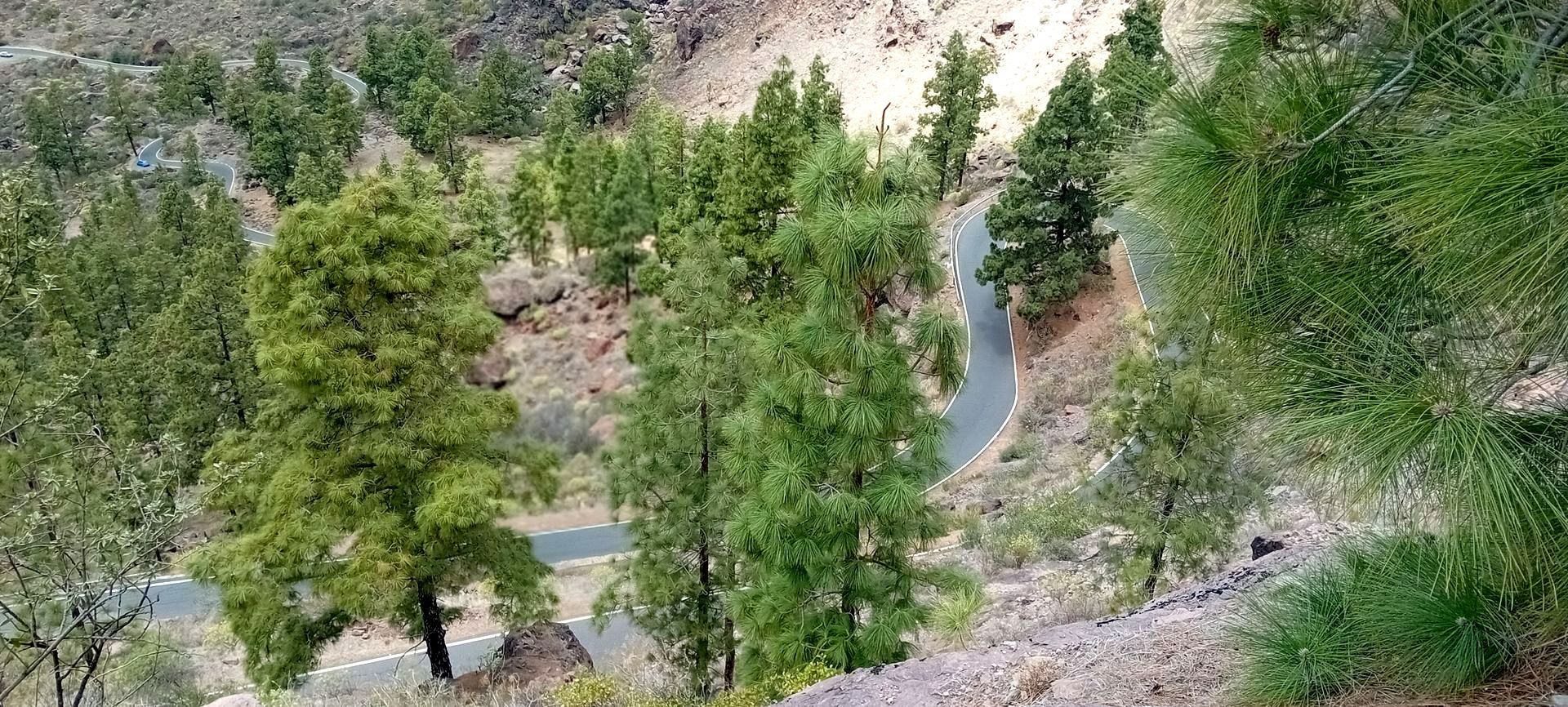 Harley Davidson Urlaub auf Gran Canaria mit Biker-Tours