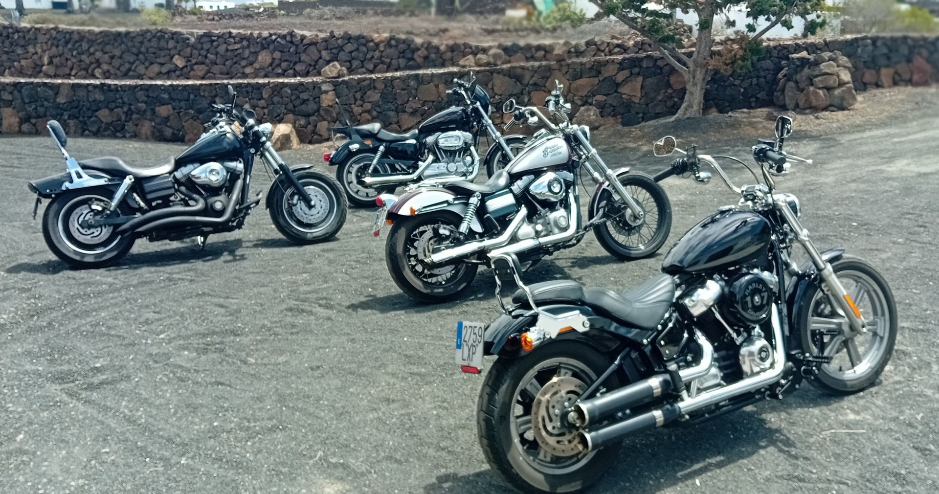 unsere Harleys