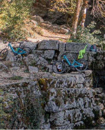 Fauteuil ski Fauteuil ski